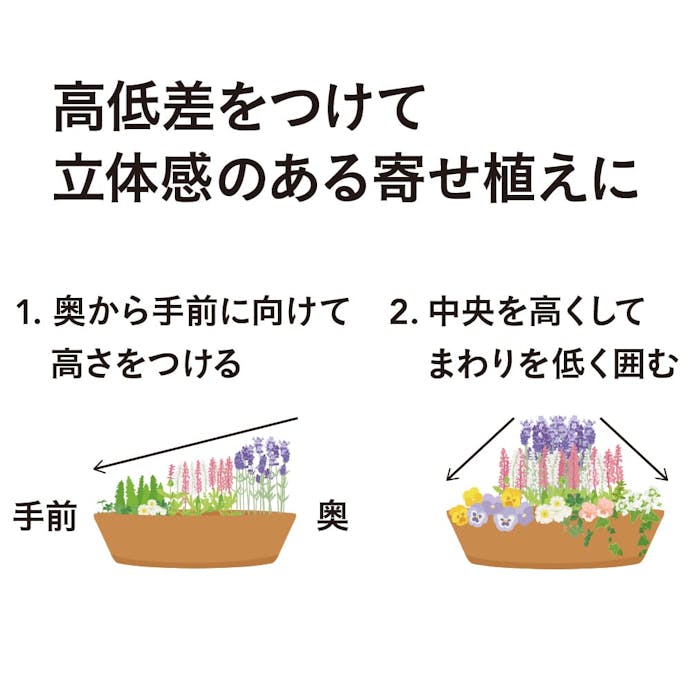 そのまま植えられる球根寄せ植えセット 550(販売終了)