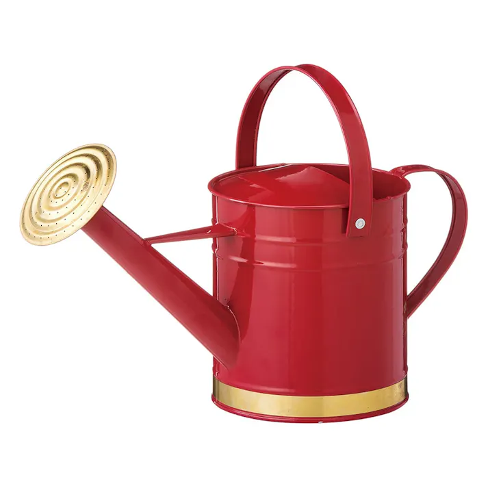 カインズ ブリキじょうろ 3L レッド