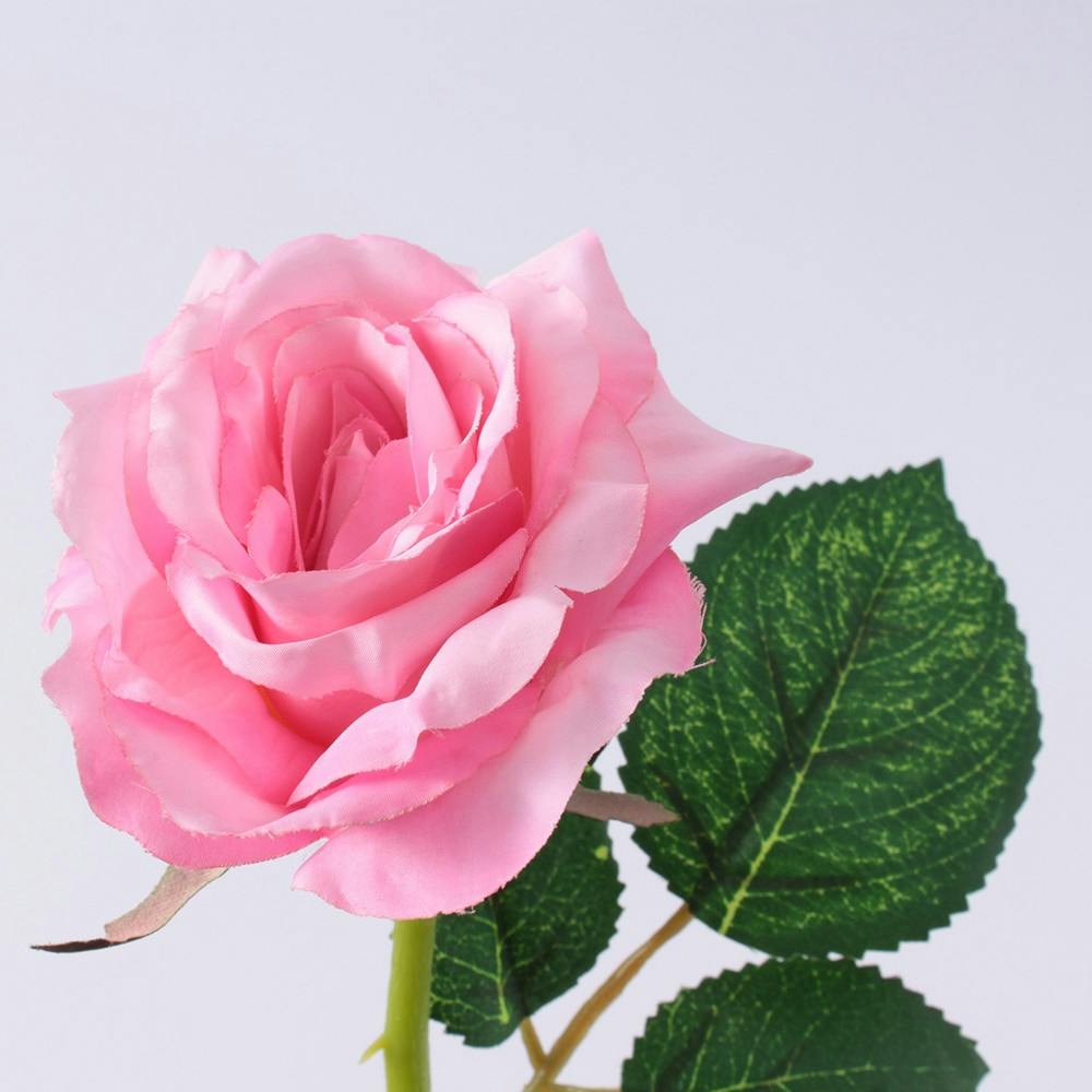 カインズ ショートローズ ピンク 30cm | 花＆グリーン 通販