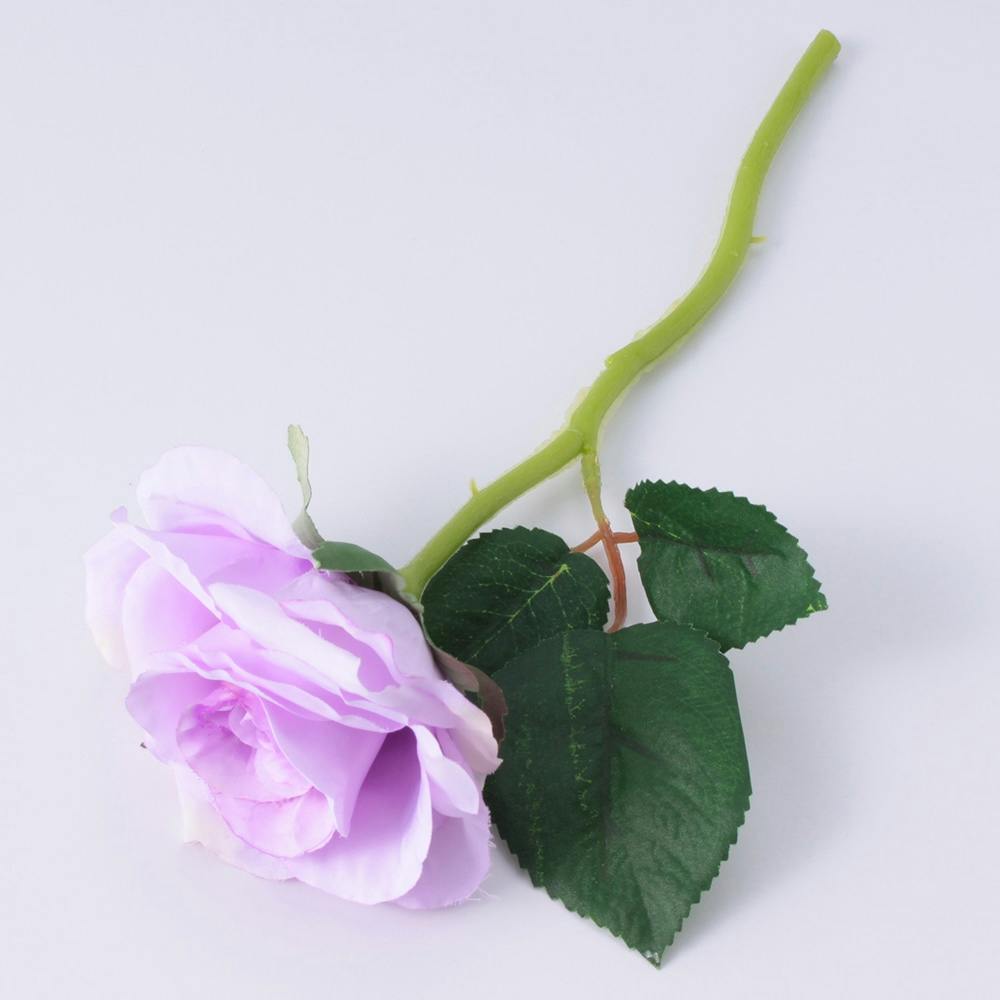 カインズ ショートローズ パープル 30cm