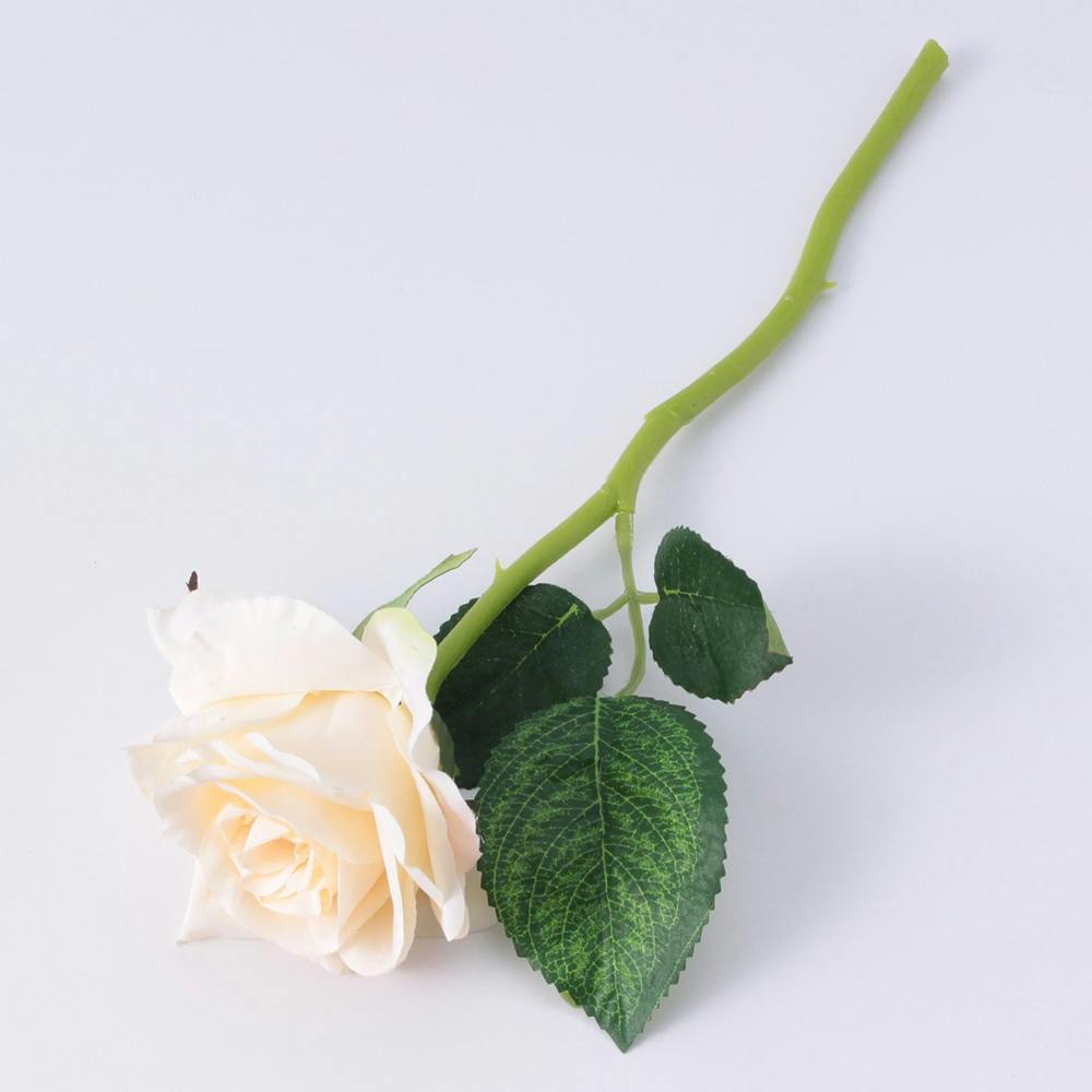 カインズ ショートローズ ホワイト 30cm