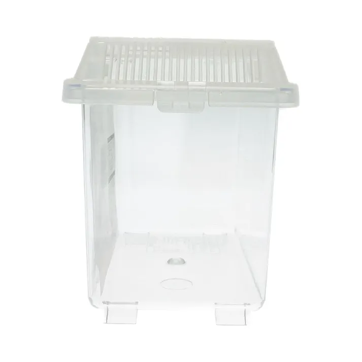 観察しやすい飼育ケース ミニ