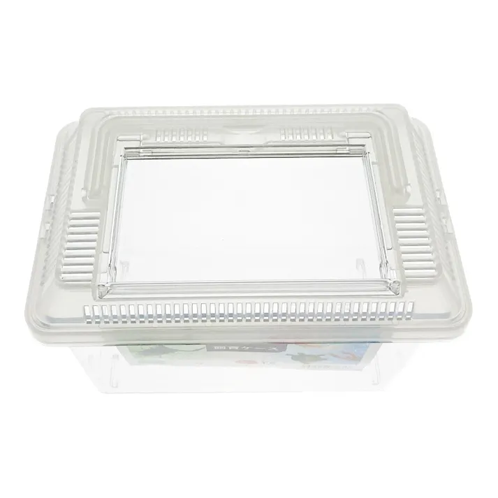 観察しやすい飼育ケース ミニ