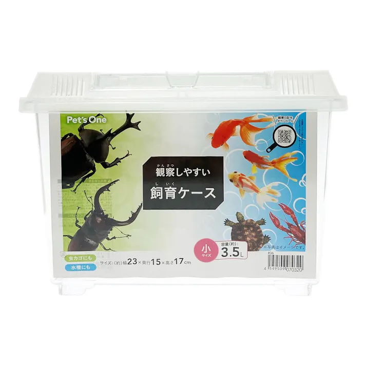 観察しやすい飼育ケース 小