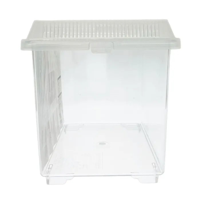 観察しやすい飼育ケース 小