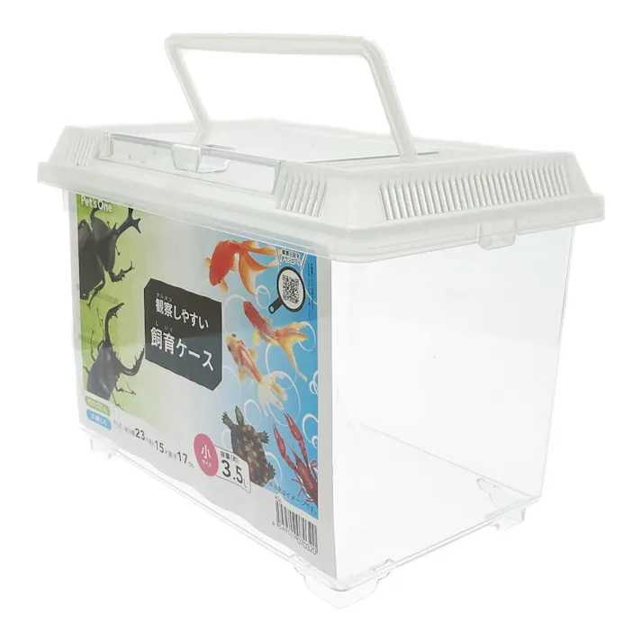 観察しやすい飼育ケース 小