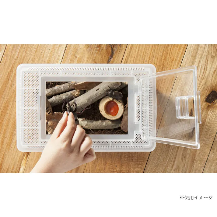 観察しやすい飼育ケース 中サイズ 7L