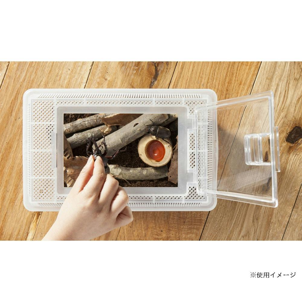 Pet'sOne 観察しやすい飼育セット 中(販売終了) | 昆虫用品・昆虫