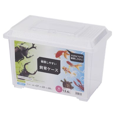 観察しやすい飼育ケース 大