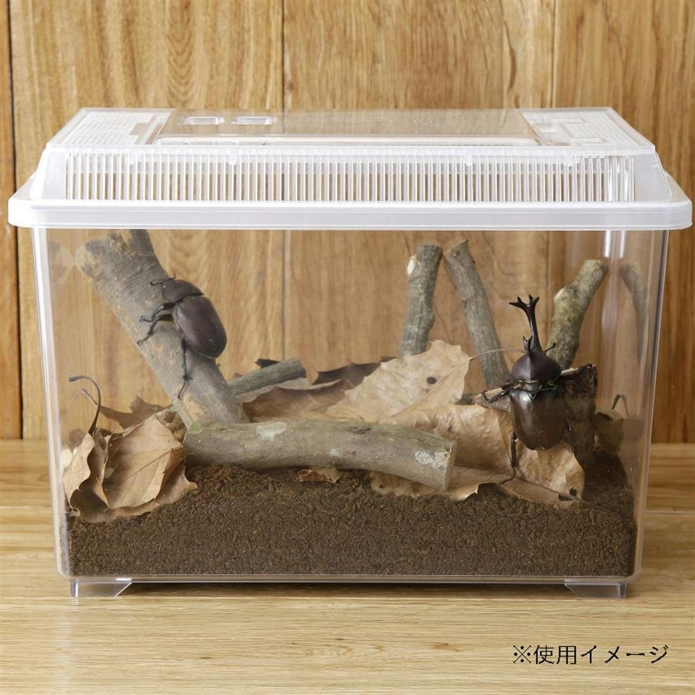 Pet'sOne 観察しやすい飼育ケース 大 | 昆虫用品・昆虫グッズ