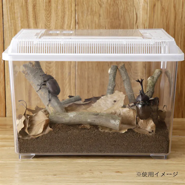 Pet’sOne 観察しやすい飼育ケース 大