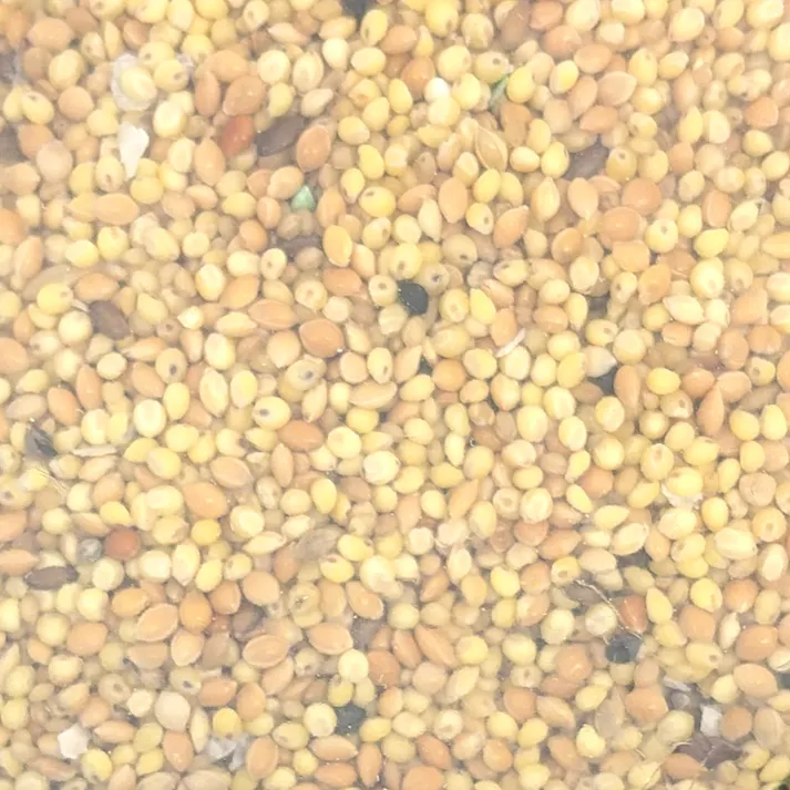 Pet’sOne ことりのむき餌 900g