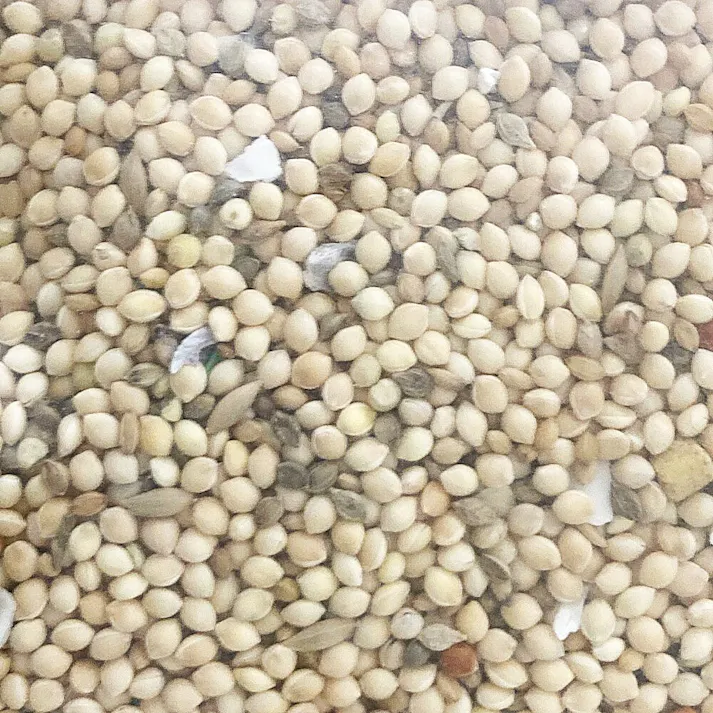 ペッツワン ことりの皮つき餌 900g