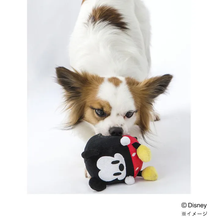 クッション玩具 ミッキーマウス 小