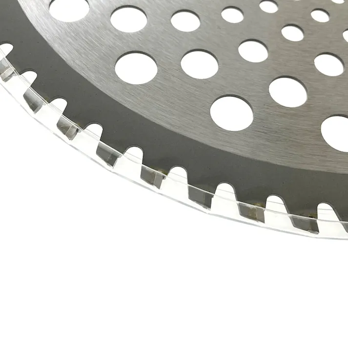 カインズ チップソー 山林用 外径255mm×穴径25.4mm×刃数60P