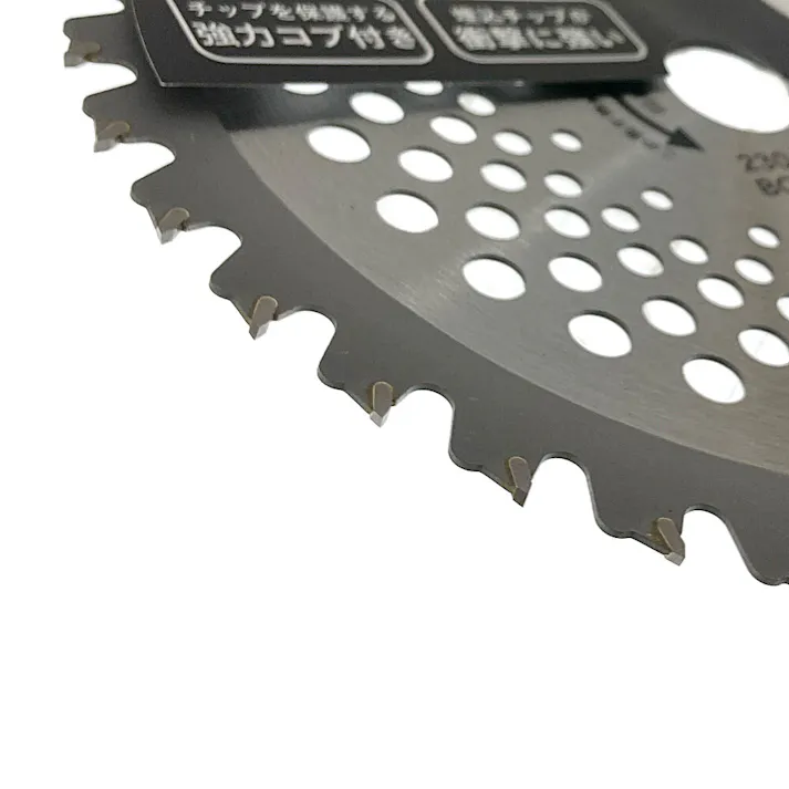 カインズ 刈払い機チップソー 強力コブ付き 外径230mm×穴径25.4mm×刃数36P