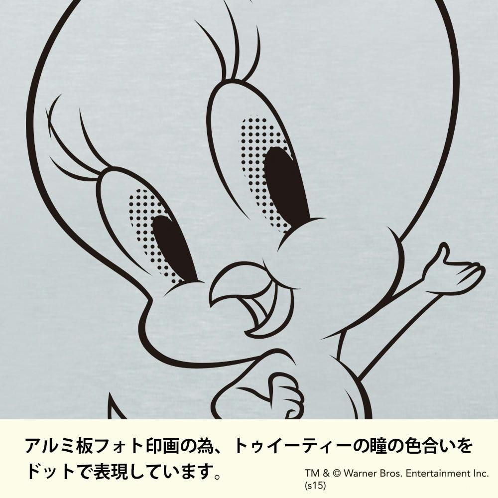 表札 アルミ板+透明アクリルバック(WN-60671)トゥイーティー