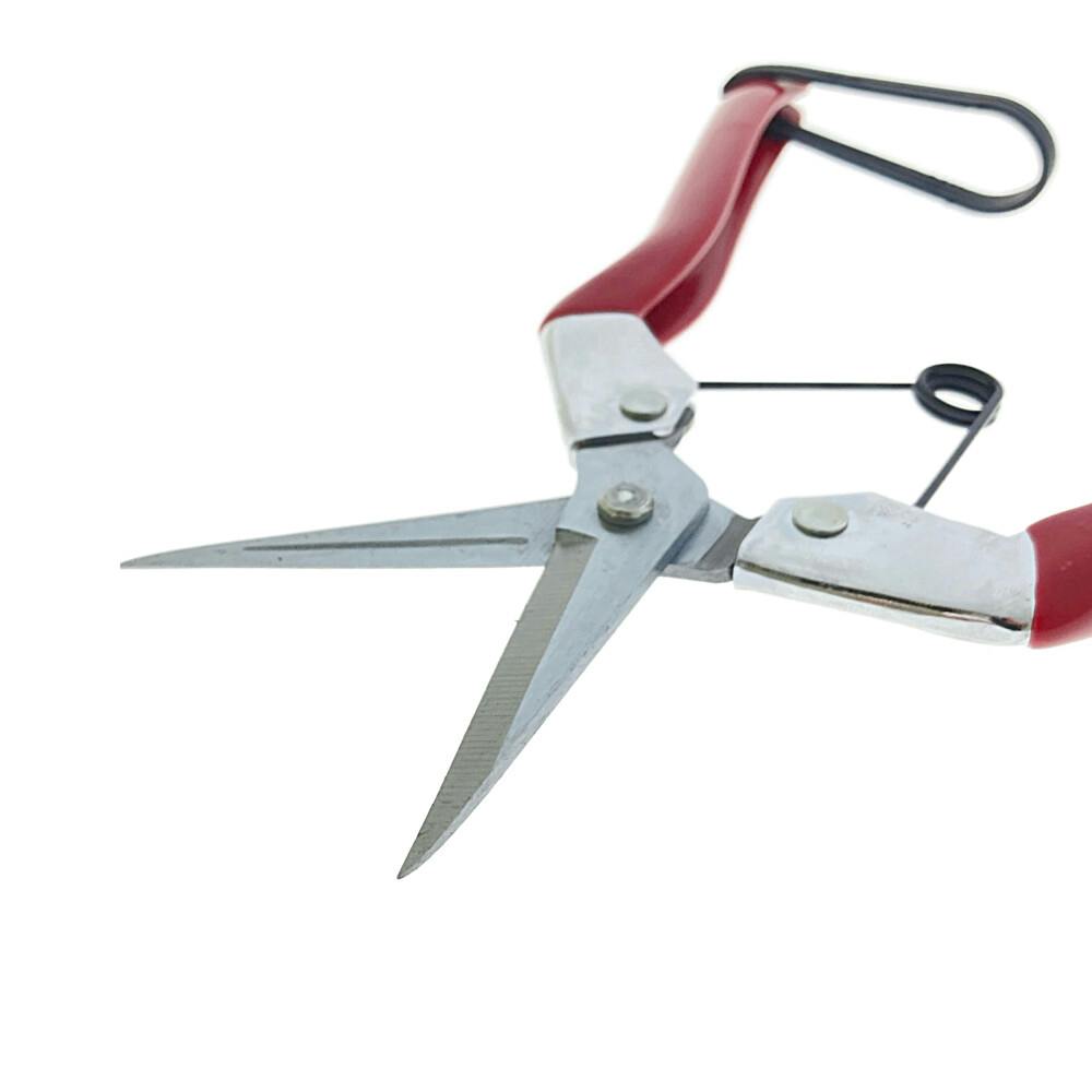 カインズ 彩果・芽切鋏 | 園芸刃物 通販 | ホームセンターのカインズ