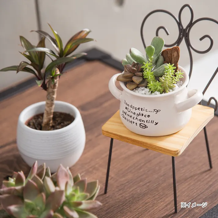 カインズ ワイヤー花台(チェア)