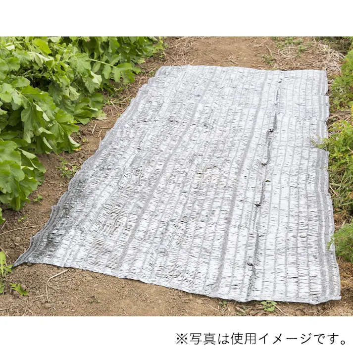 カインズ わらシート 1×2m YSZGW-1-2H