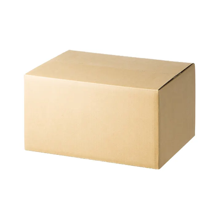 カインズ 100サイズ 高さ調節できる段ボール M