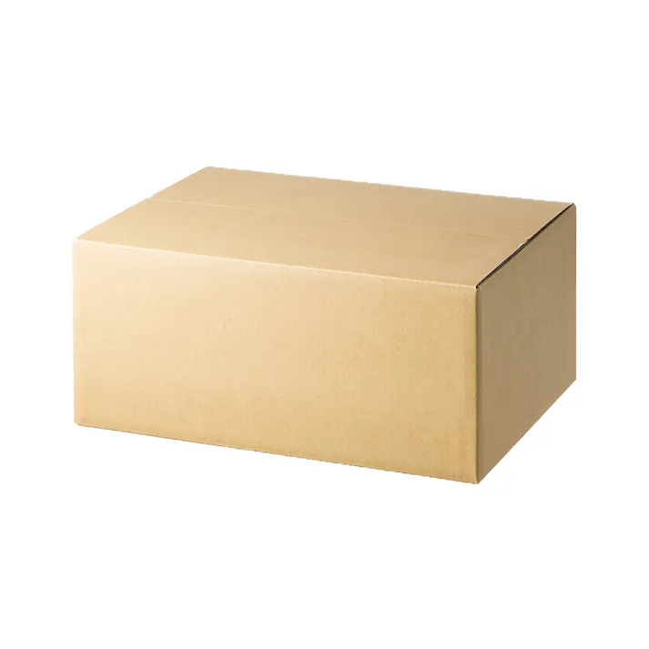 カインズ 120サイズ 高さ調節できる段ボール L