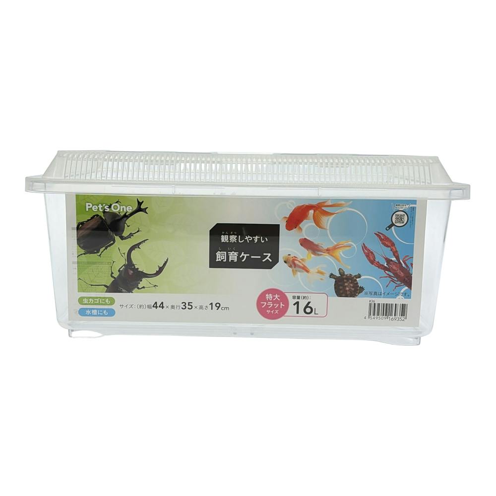 Pet'sOne 観察しやすい飼育ケース 特大フラット | 昆虫用品・昆虫