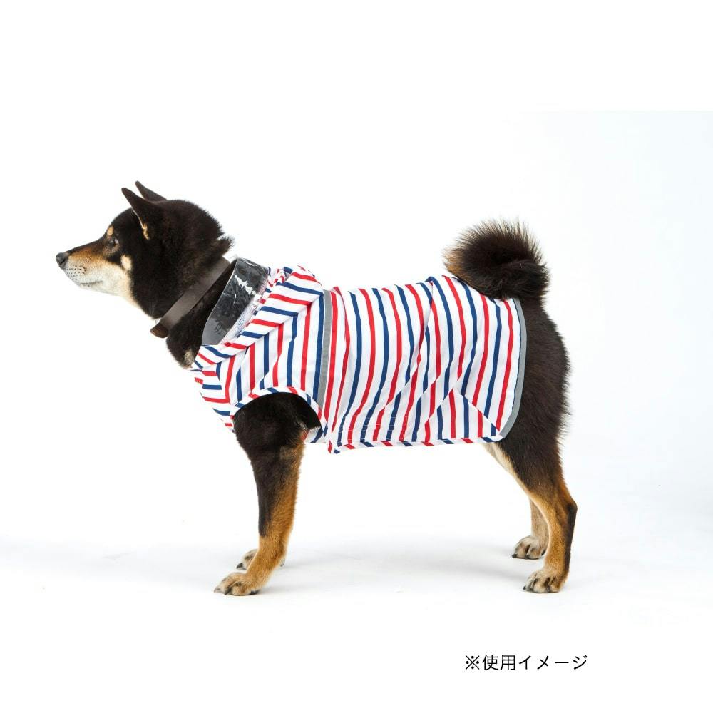 送料無料】レインコート ボーダー 3L | ペット用品（犬） 通販