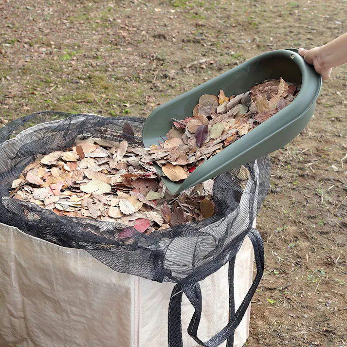 カインズ 分別てみ~Frutte フルーテ~