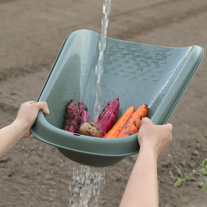 カインズ 分別てみ~Frutte フルーテ~