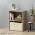 カラーボックス 可動棚収納ボックス 2段 ナチュラルエルム S1