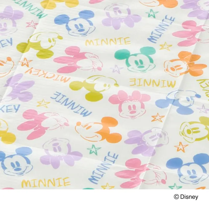 レジャーシート ミッキー&ミニー90cm×60cm