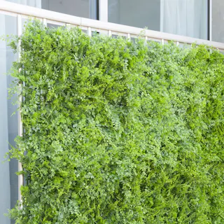 カインズ グリーンマット アジアンタム 50×50cm