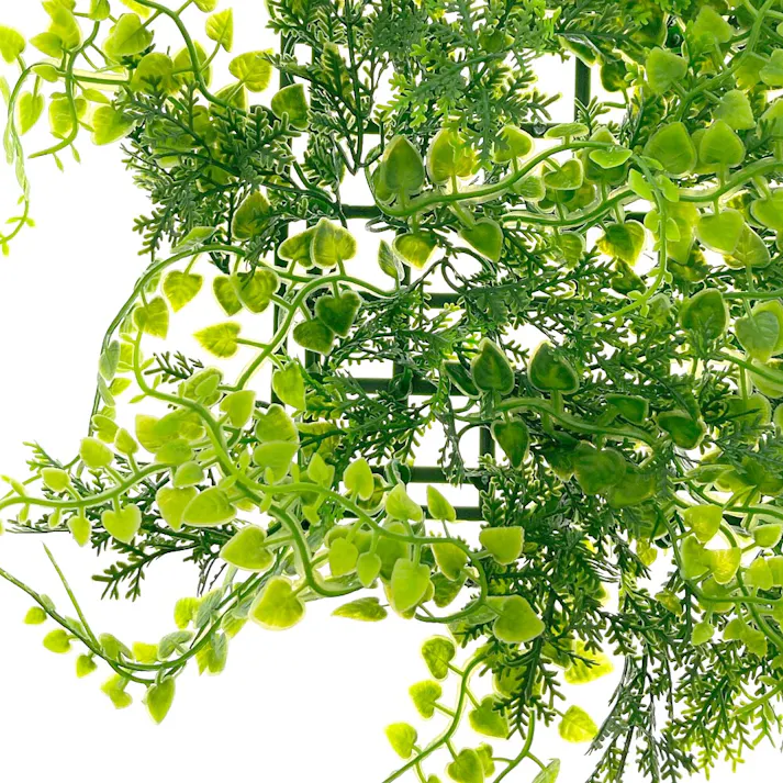 カインズ グリーンマット アジアンタム 50×50cm