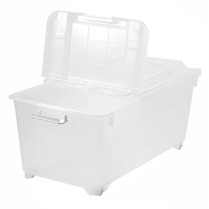 キャリコオレア クリア