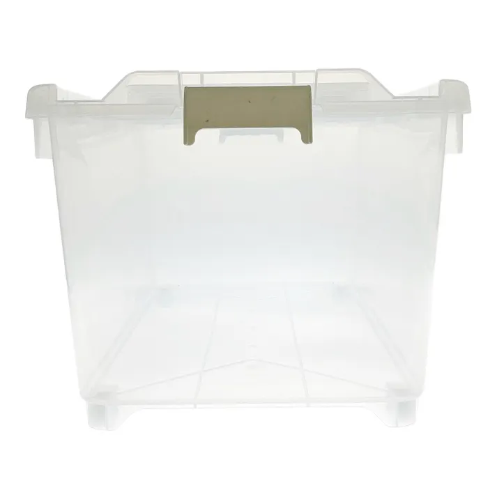 キャリコオレア クリア