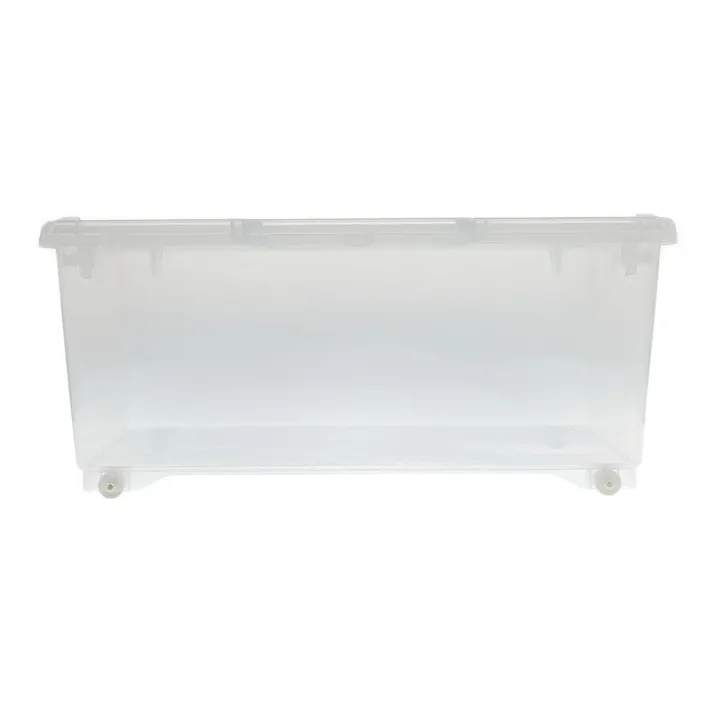 キャリコオレア クリア