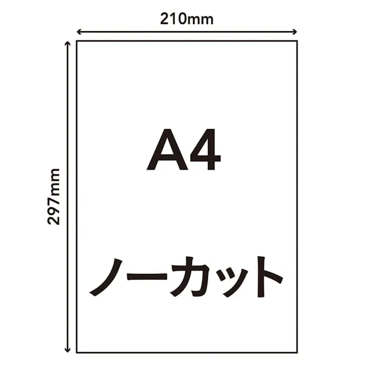 カインズ ラベルシール A4サイズ 1面×20枚入 HS-3-20