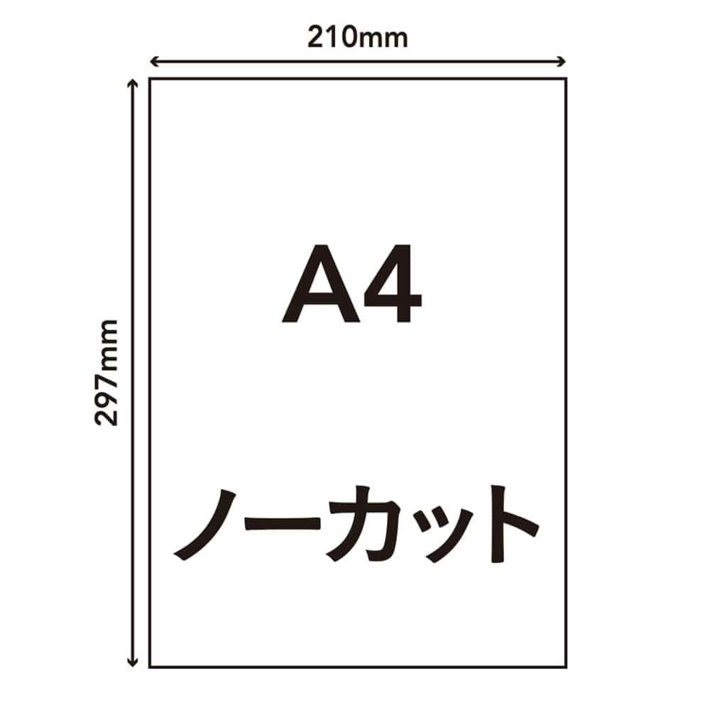 ラベルシール A4サイズ 1面×100枚入 HS－3－100｜ホームセンター通販【カインズ】