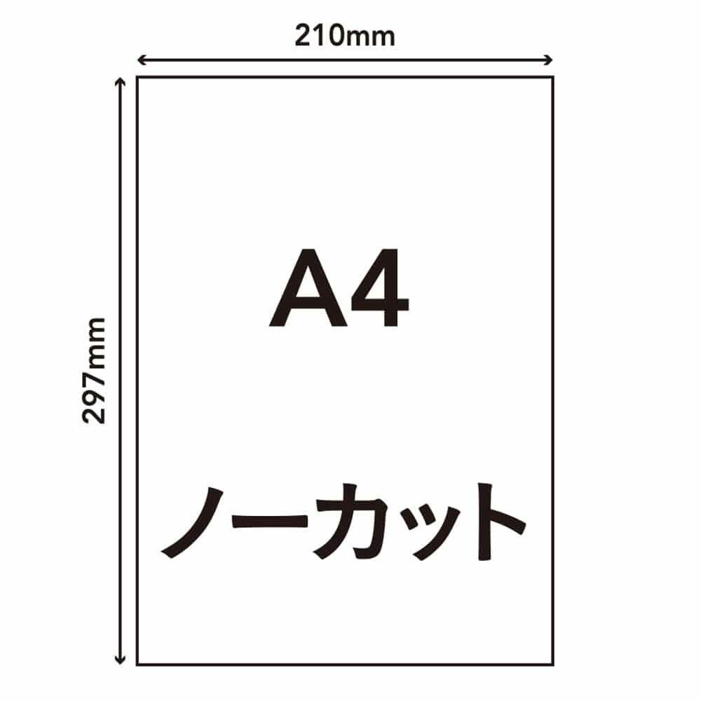 ラベルシール再剥離 15枚 HS－18 文房具・事務用品 ホームセンター通販【カインズ】