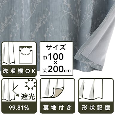 裏地付きカーテン ブロッサム BL 100×200 2P(販売終了)