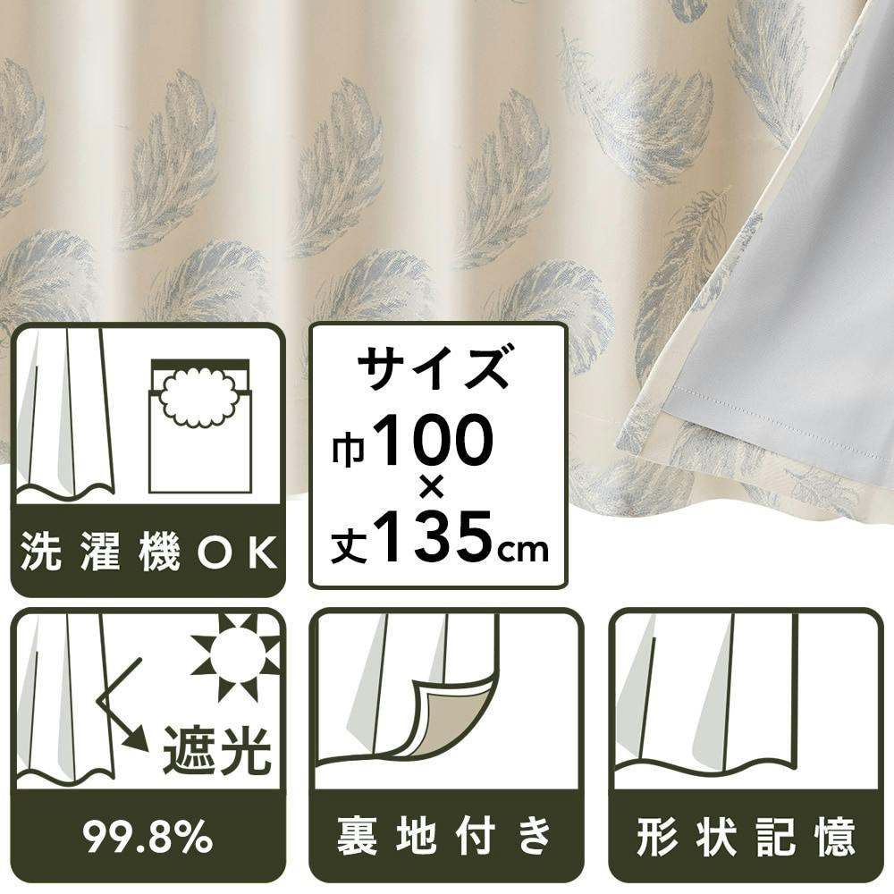 インザルーム　カーテン　2枚セット インザルーム カーテン 2枚セット 裏地付きカーテン フェザー BL 100