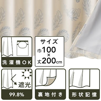 裏地付きカーテン フェザー BL 100×200 2P(販売終了)