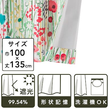 遮光性カーテン ボタニカル グリーン 100×135cm 2枚組(販売終了)