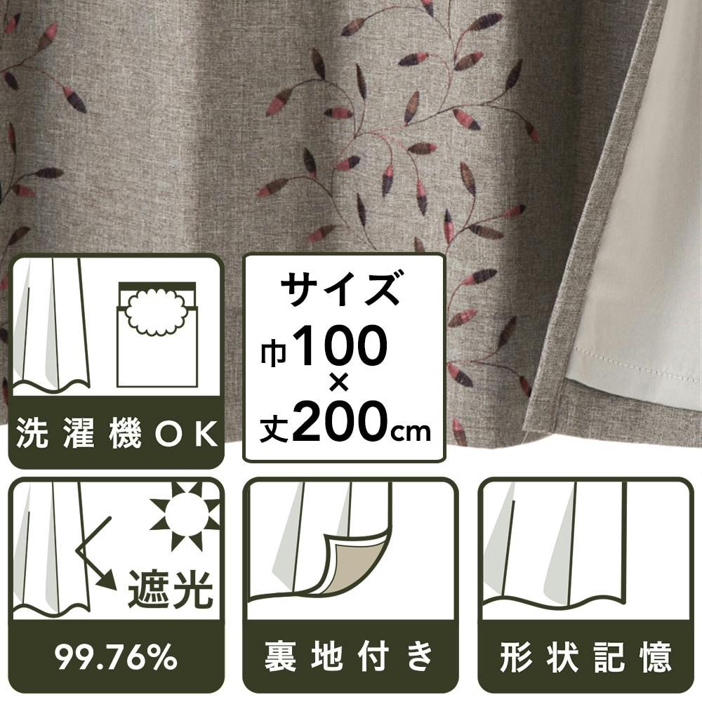 裏地付きカーテン ナチュリーフ BE100×200 2P(販売終了) | カーテン