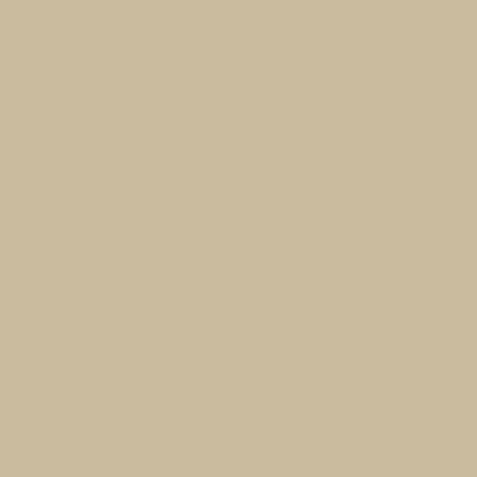 【オンライン限定】カインズ 室内用塗料 ホワイティカラーズ ペイントセット ホワイトモール 4kg【別送品】