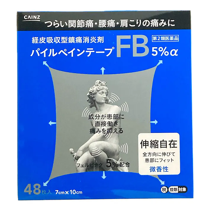 【店舗限定】第2類医薬品 CAINZ パイルペインテープ 48枚