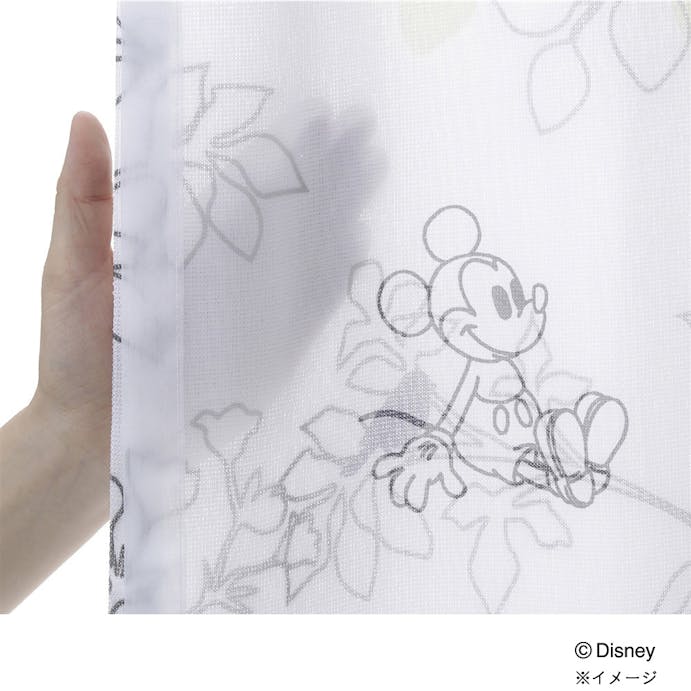 ディズニー ミッキーマウス グリーン 100 175cm 2枚組 レースカーテン 別送品 ホームセンター通販 カインズ ディズニー ミッキーマウス グリーン 100 175cm 2枚組 レースカーテン 別送品 ホームセンター通販 カインズ