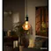 カインズ LEDフィラメント電球 E26 4.0W 電球色 LDA4L-D4