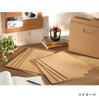 カインズ インナーホルダー 10冊入り